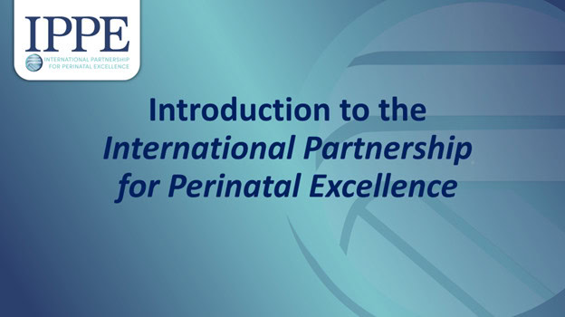 Introduction to the International Partnership for Perinatal Excellence